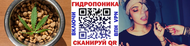 Cannafood конопля  Купить  Горячеводский 