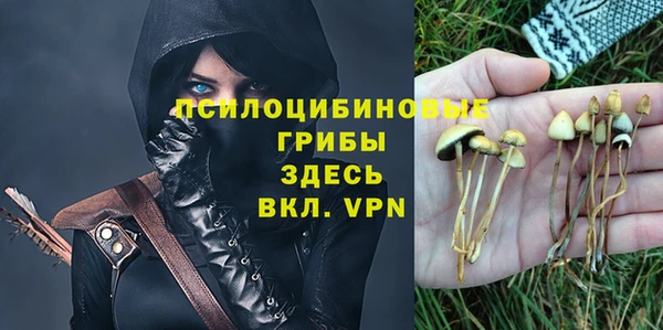скорость Арсеньев