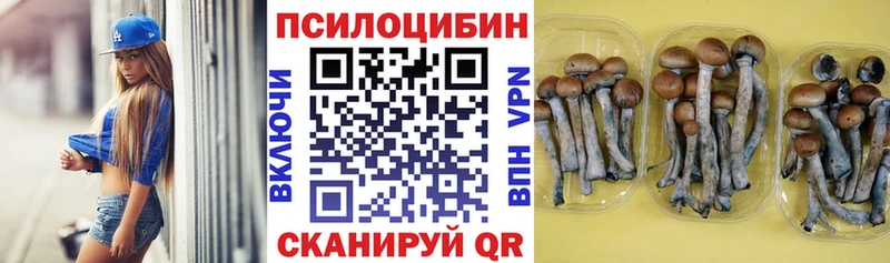 Купить закладки  Горячеводский  Галлюциногенные грибы прущие грибы 